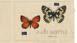 001-Jan Svec-Nase motyle-72dpi-1