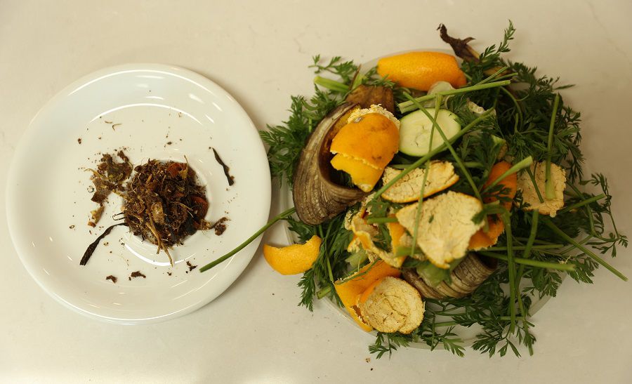 Slušnú kôpku odpadu spracuje FoodCycler na...