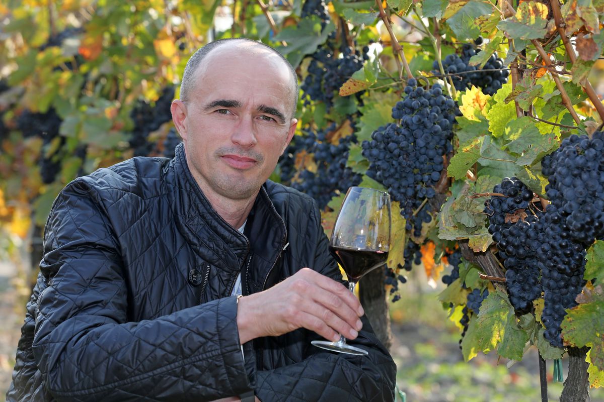Richard Polkoráb, výrobný riaditeľ, nositeľ vinárskej inovácie.