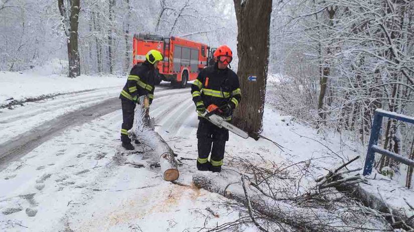 hasiči česko kalamita strom