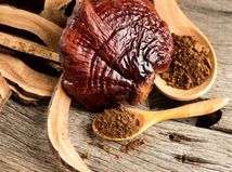 DZ-reishi,