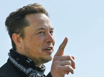 Germany Election Tesla
