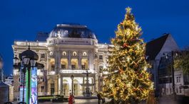 Bratislava Vianoce vianočný strom