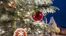 Bratislava Vianoce vianočný strom