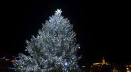 Nitra Vianoce vianočný strom