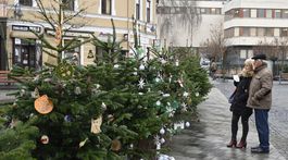 Trenčín Vianoce advent stromčeky
