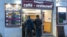 Pellegrini, reštaurácia, Brno
