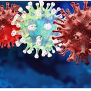 virus sars covid koronavirus