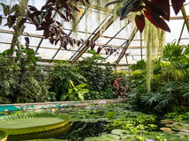 botanická záhrada