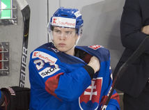 Liška Hokej