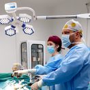 laparoskopia, operácia, žlčník, REVIVE, chirurg
