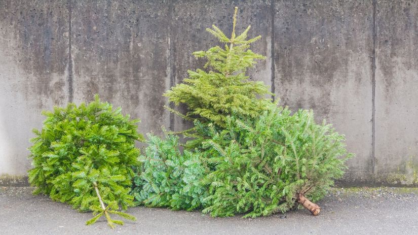 stromček, odpad, vianoce,
