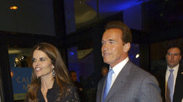 Schwarzenegger Shriver Divorce