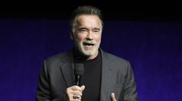 Schwarzenegger Shriver Divorce