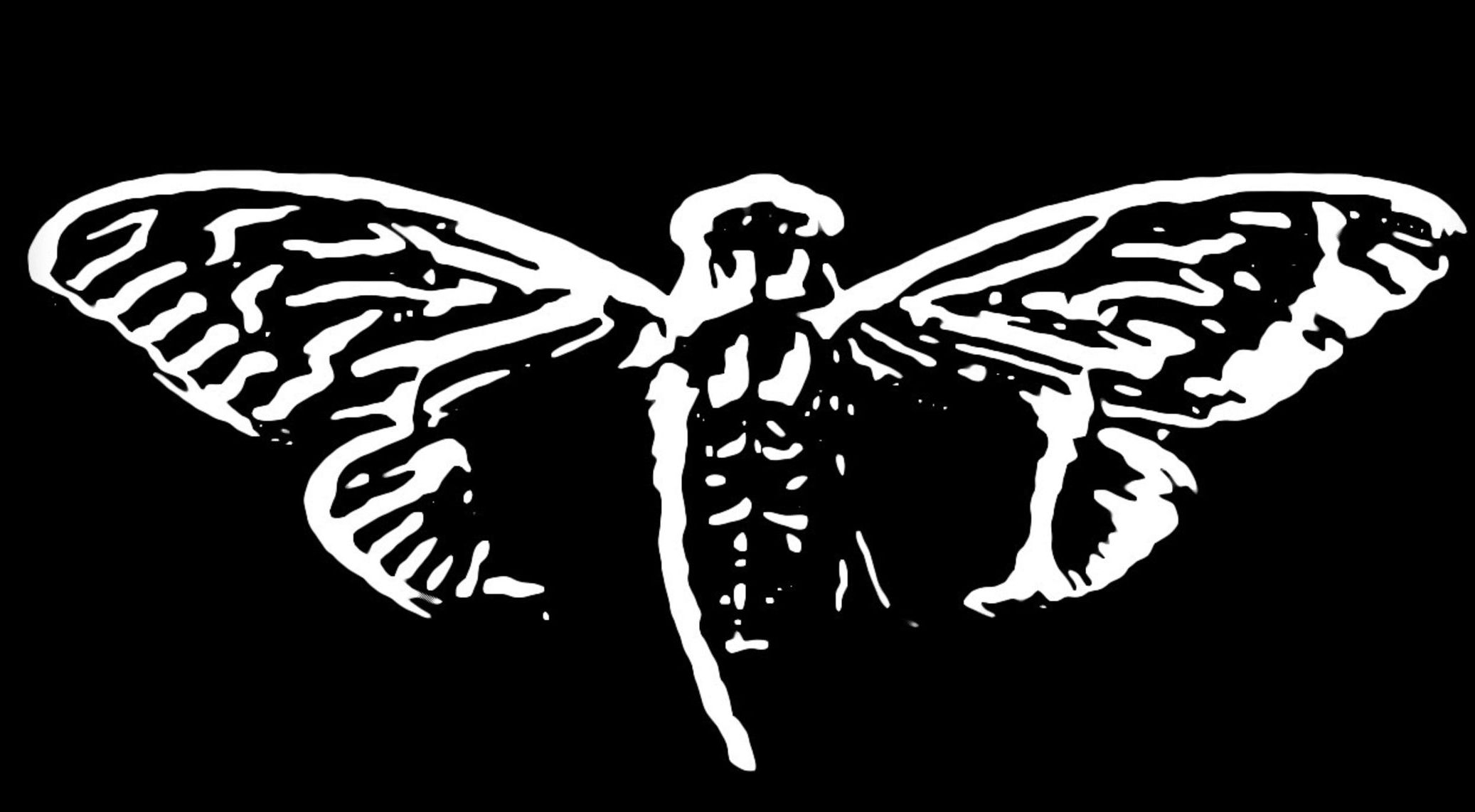 Sériu hádaniek Cicada 3301 jej tvorcovia...