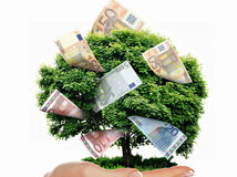 euro peniaze