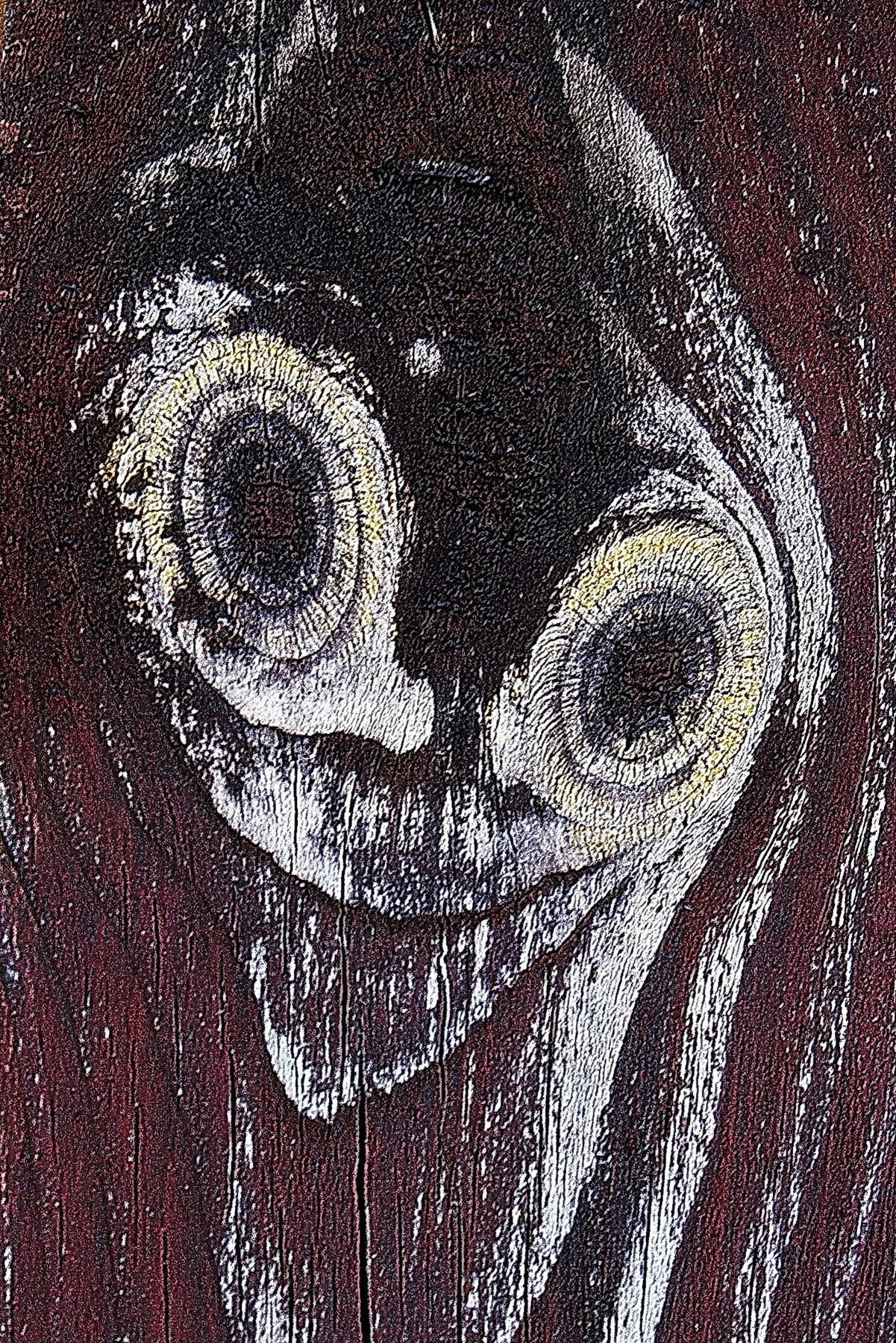 Obrazy nachádza napríklad aj v práchnivejúcom...