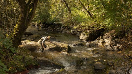 Z nesprávne navrhnutého rybovodu pod bariérou...
