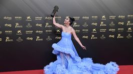 Spain Goya Awards 2022 Press Room