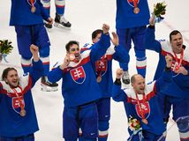 slovenskí hokejisti