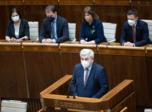 jurik muška parlament