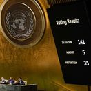 Rusko Ukrajina OSN VZ rezolúcia