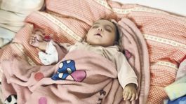 Utečenci v Pavlovciach