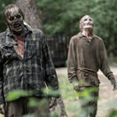 walking dead, zombík, zombie,