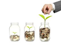 peniaze, zelen, zelené investície