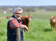 farmár, kravy, urbár, poľnohospodár