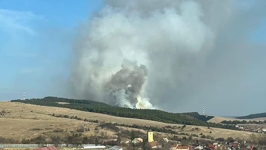 Pod Tatrami horelo 80 hektárov lesa, hasiči plamene zlikvidovali