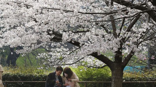 Pár sa pozerá na mobilný telefón pod...