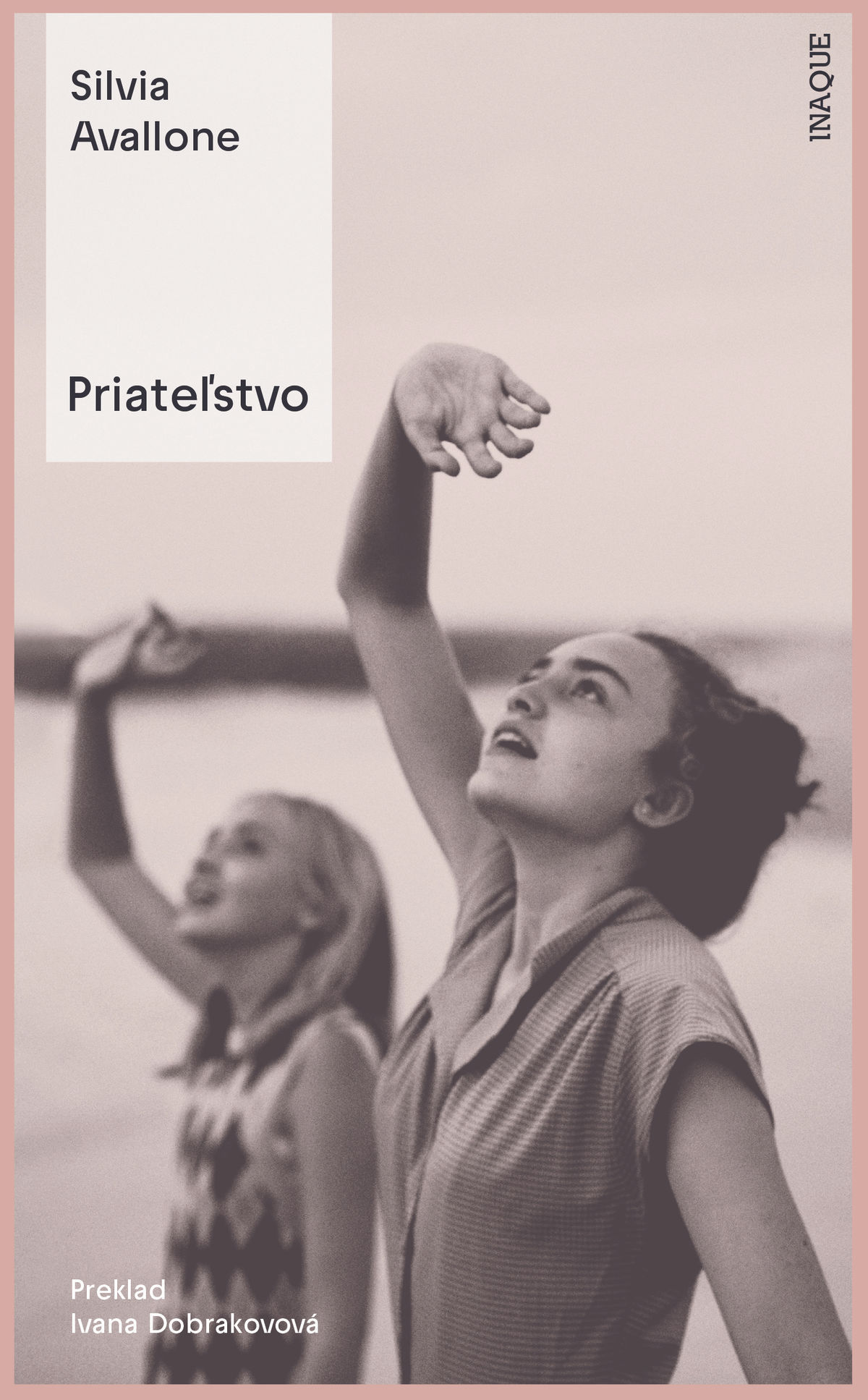 Silvia Avallone: Priateľstvo