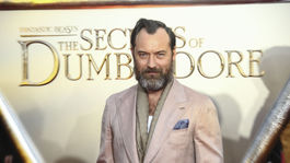Tajomstvá Dumbledora, Fantasticke zvery, Jude Law
