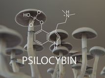 lysohlavky