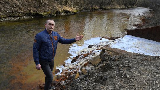 Člen výboru miestnej organizácie Slovenského...