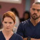 greys anatomy, jackson, april,