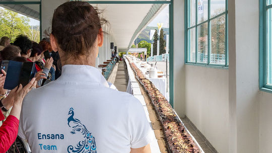 Torta merala niečo vyše 118 metrov a vážila...