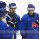 Fínsko MS2022 Hokej A Slovensko tréning