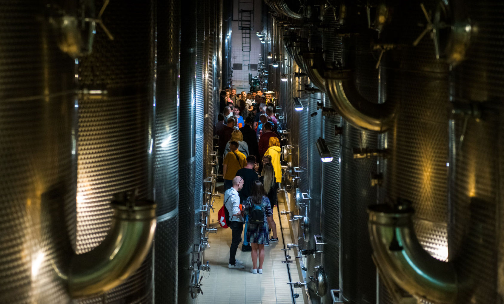 Stretnutie s vínom v Château Topoľčianky sa začína vo viniciach a pokračuje v pivniciach.