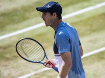 Andy Murray po postupe do finále turnaja v Stuttgarte.