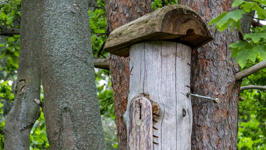 Takto vyzerali kedysi úle. 