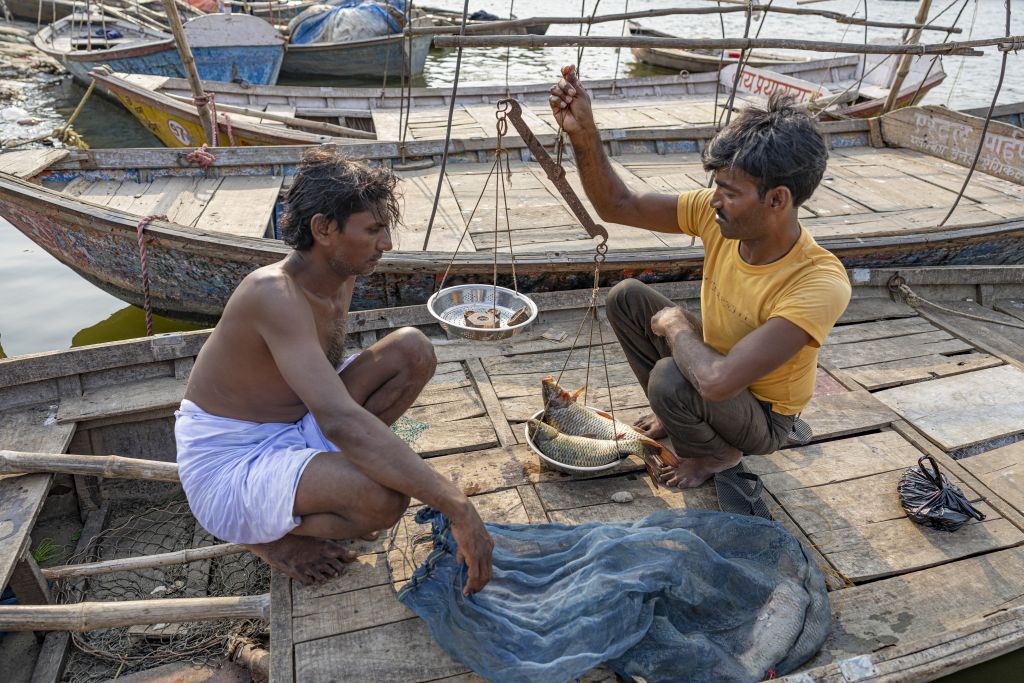 India, rybári,