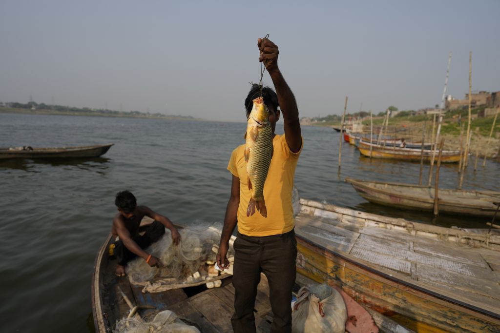 India, rybári