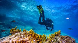 CNTB Hvar, pt, nepouzivat