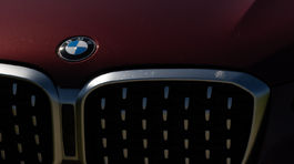 BMW X4 - test 2022