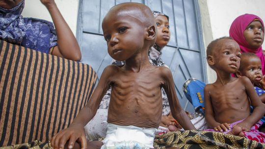 Hladom vo svete trpelo vlani 733 miliónov ľudí, každý jedenásty obyvateľ Zeme