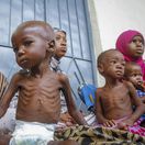 Hladomor / Potravinová kríza /