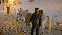Slovenský film Kôň
