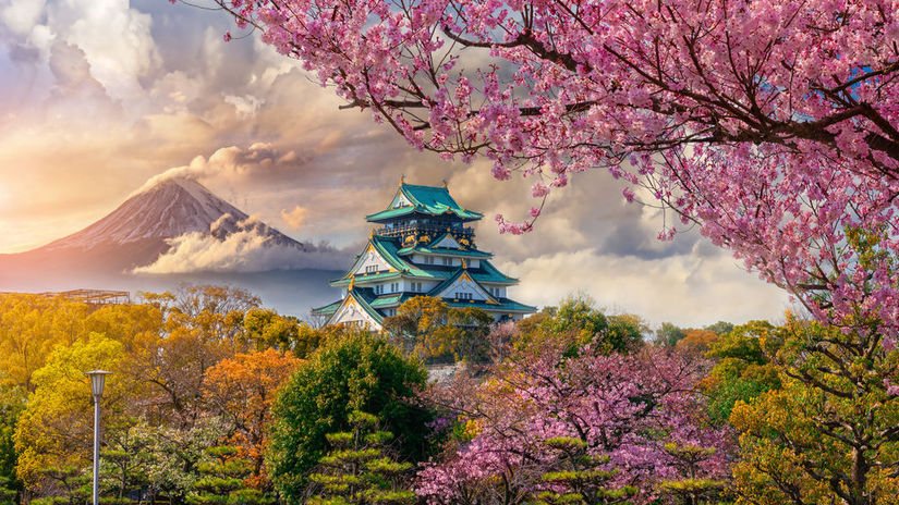 Japonsko, Osaka, Fudži, Fuji, čerešne, sakura